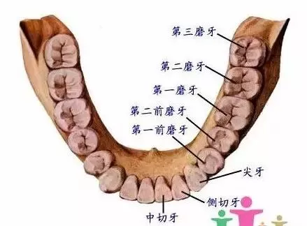 雅悦齿科：为什么根管治疗费用那么贵？那可全是牙医的技术啊！