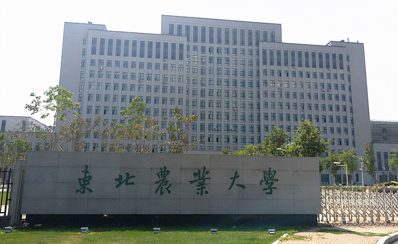 2021农林大学最新排名！东北“双雄”发展出色，成功入围前十名