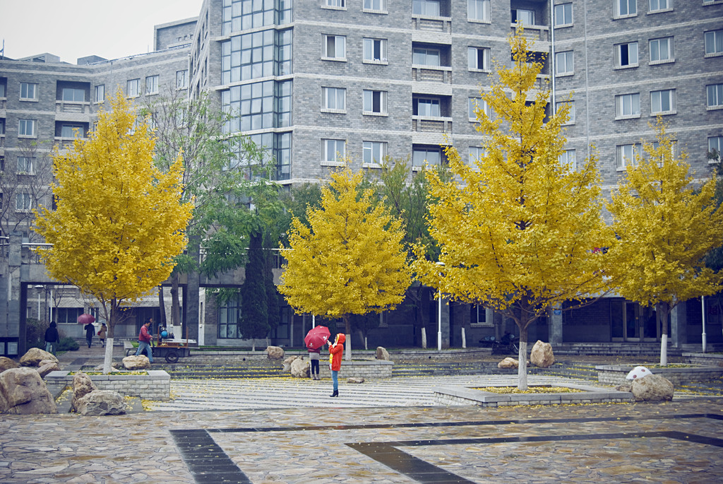 辽宁这3所知名高校十分低调，录取分数线不高，就业率很高