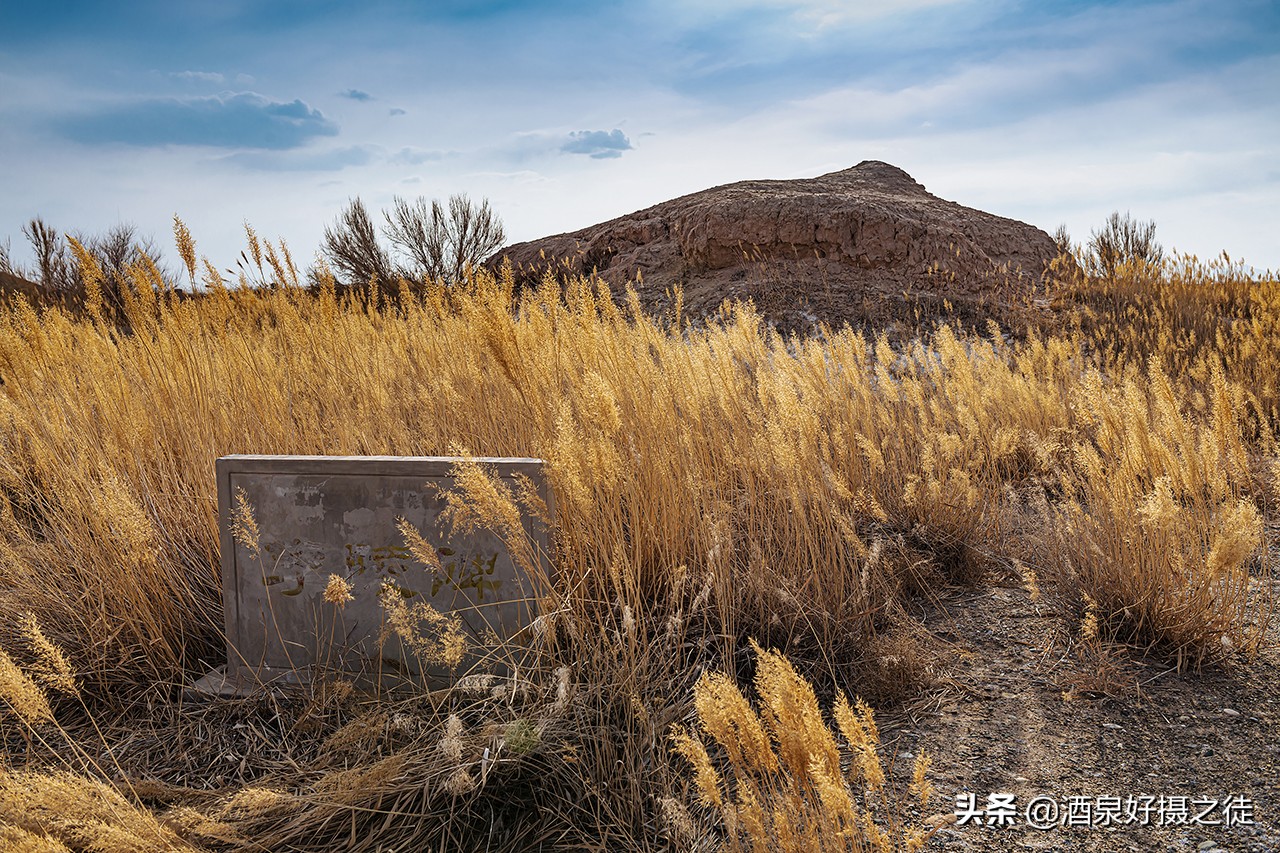 李陵碑遗址在哪（芦苇荡中的李陵碑遗址图片）