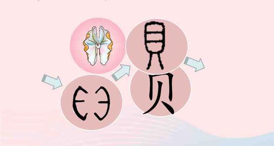 贝组词有哪些(宝藏干货贝字组成的词语大全)