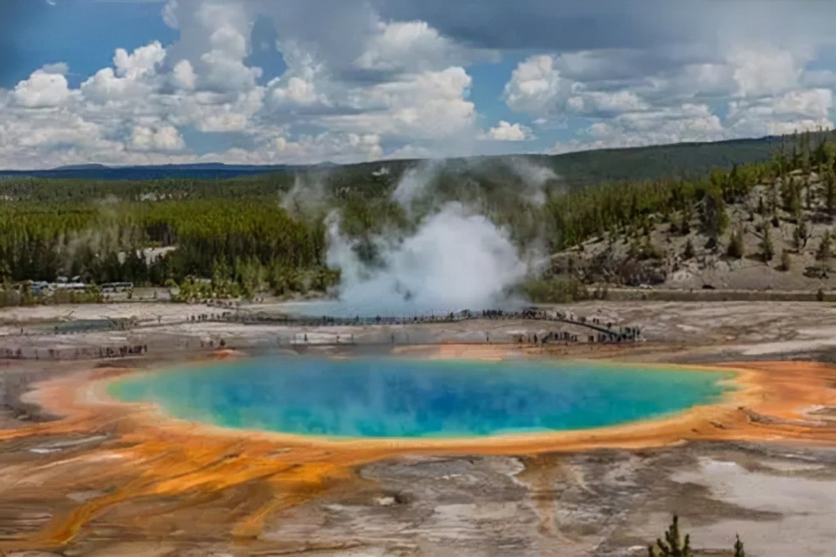 “老虎咬死游客事件”幸存者：至今没有工作，最大心愿是整容