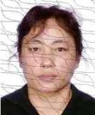 被执行人信息,被执行人信息查询