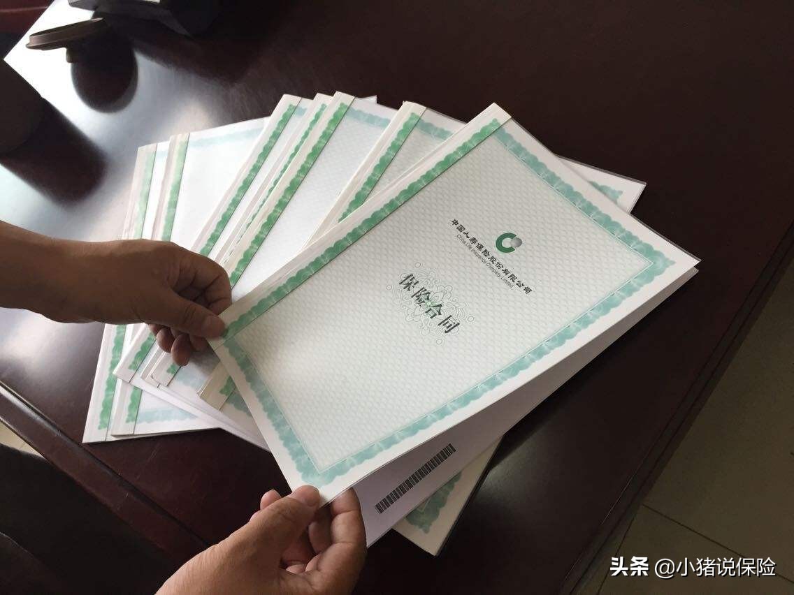 保险合同看不懂？我来手把手教你如何看保单