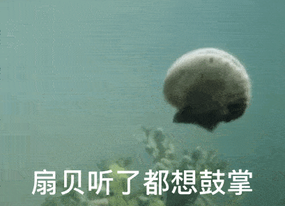 专业漫谈|辽宁大学计算机类、电子信息类—计算机科学与技术篇