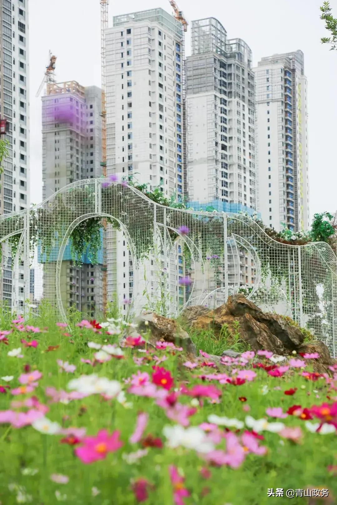 江滩徜徉，青山滨江梦正圆