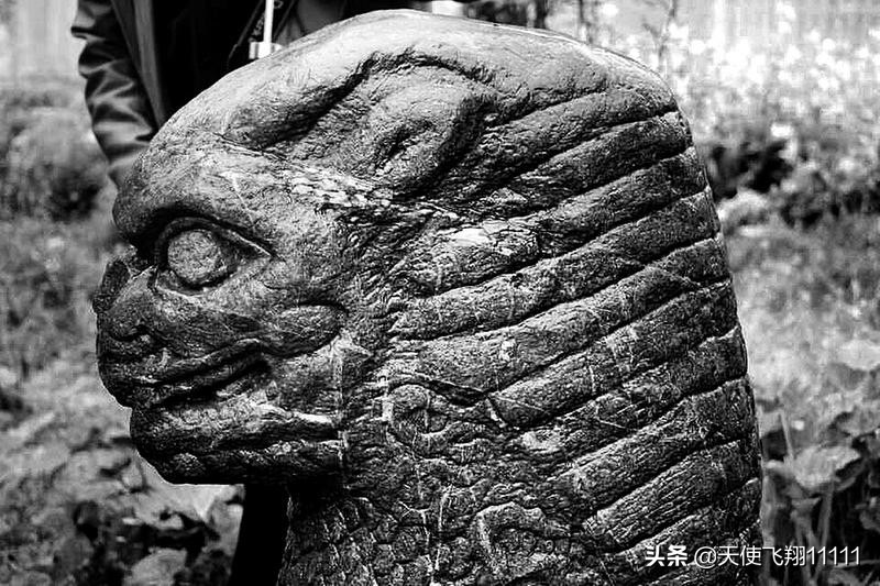 上古十大神兽排行榜，饕餮倒数，排名第一的相伴相生，不能独活