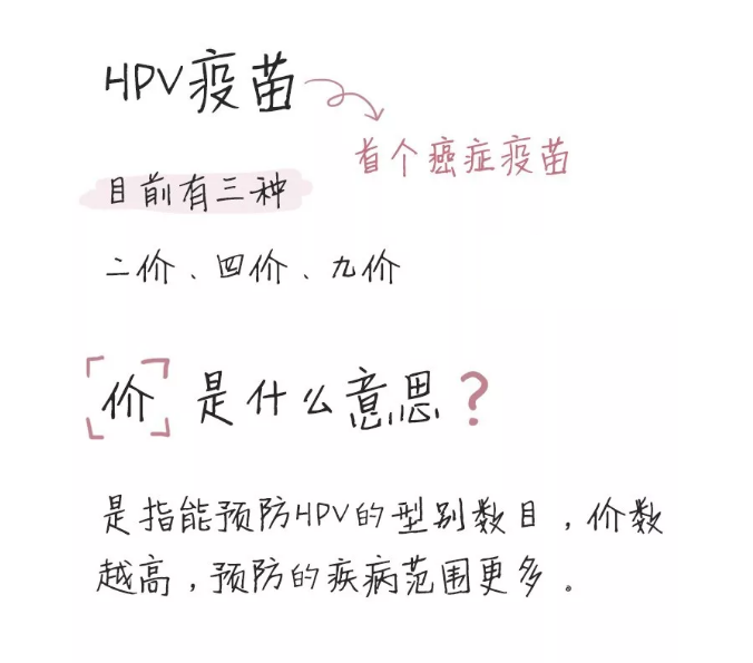 HPV疫苗：二价、四价、九价有什么区别？有效期长吗？一文早知道