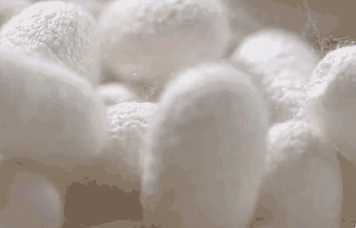 春天，人人都爱的衬衣，迷人