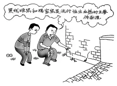 西安一学生因老鼠肆虐致死，老鼠引起的出血热不容小视！