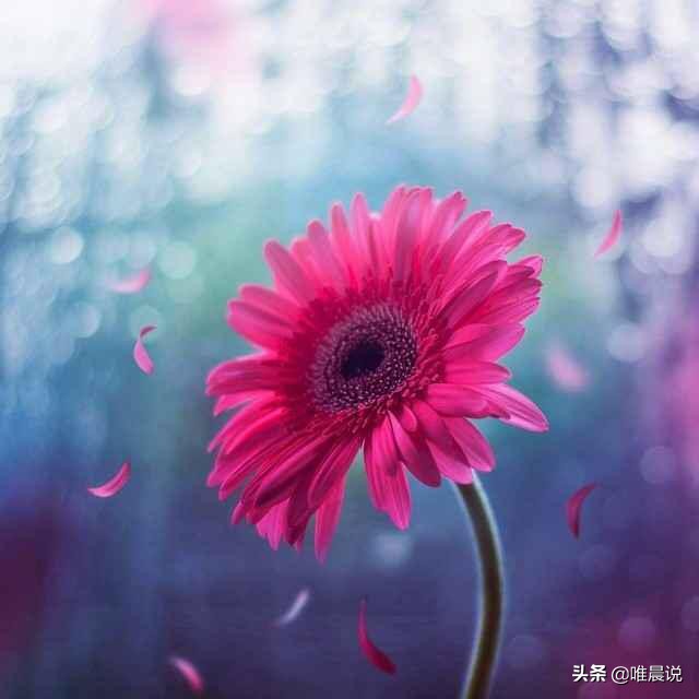 人到中年才明白的道理：有些人的闲事最好不管，往往好心没好报