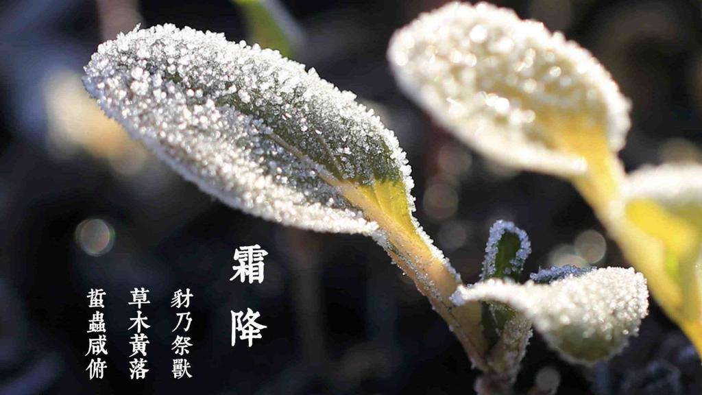 霜降时节秋日黄昏的诗意描绘