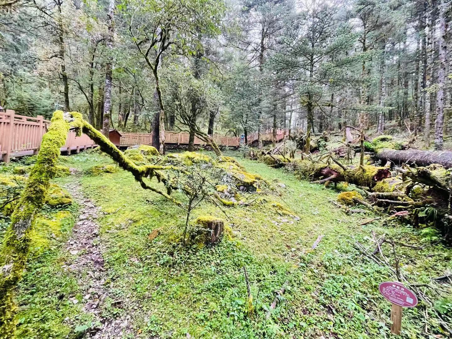 玉龙雪山山麓的蓝月谷，是蔚蓝天空送给丽江的永恒印记