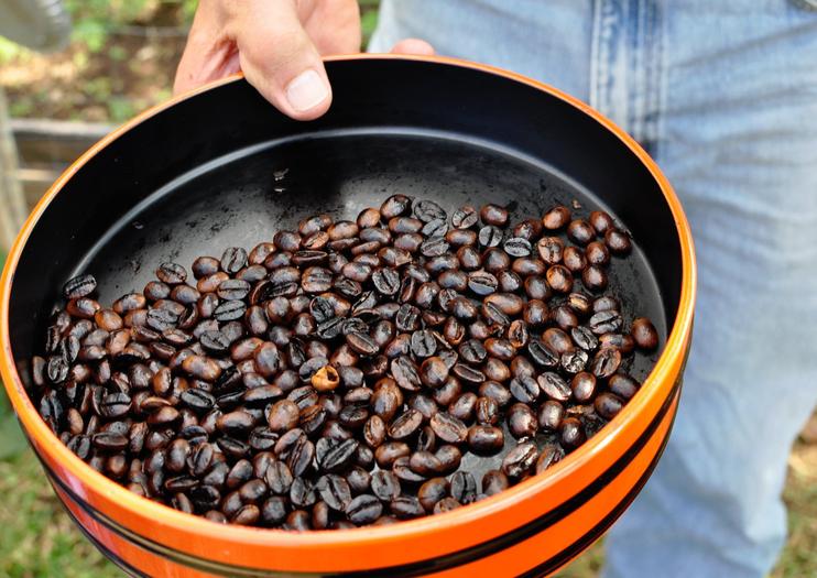 最贵的咖啡有多贵？盘点世界上最贵的10种咖啡
