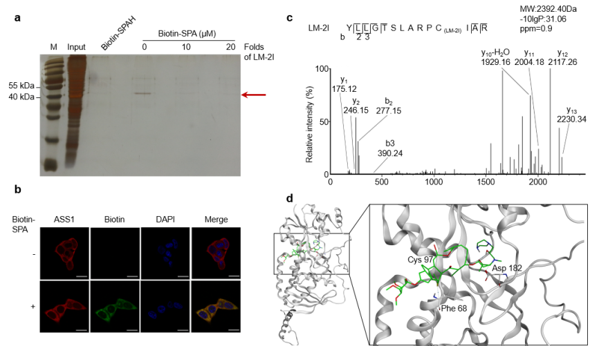 中南大学历时7年，原创抗肿瘤新药取得重大进展！