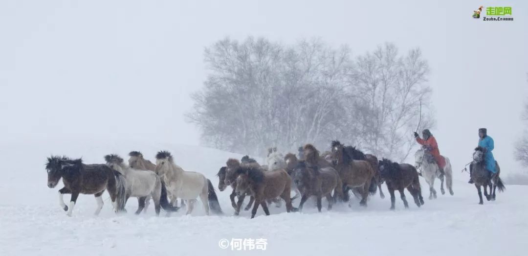 12月最佳旅行地推荐！年尾用一场完美的收官旅行告别2019