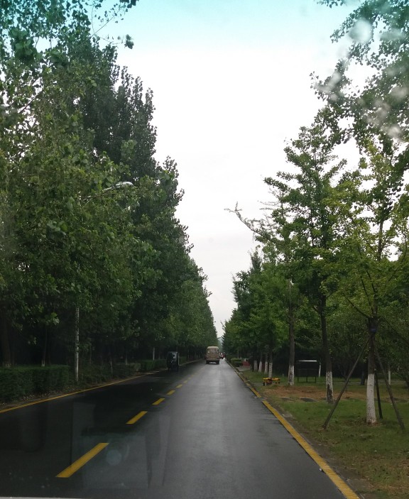 这里不仅有大树、高楼，更有大师——带你参观南京大学仙林校区