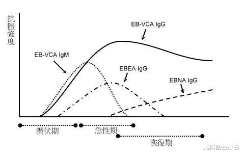 EB病毒感染是什么？严重吗？