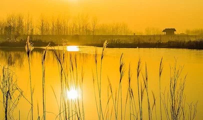 高考作文评分标准全解: 胸中已有丘壑，作文一路高歌