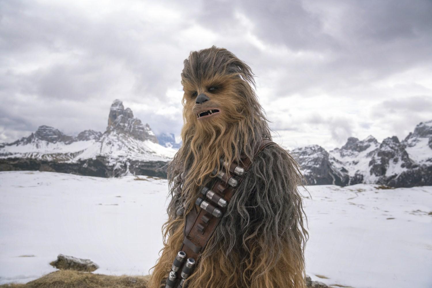 楚巴卡:这个橘猫诞生于2006年,在漫画中身处于"地球—58163".