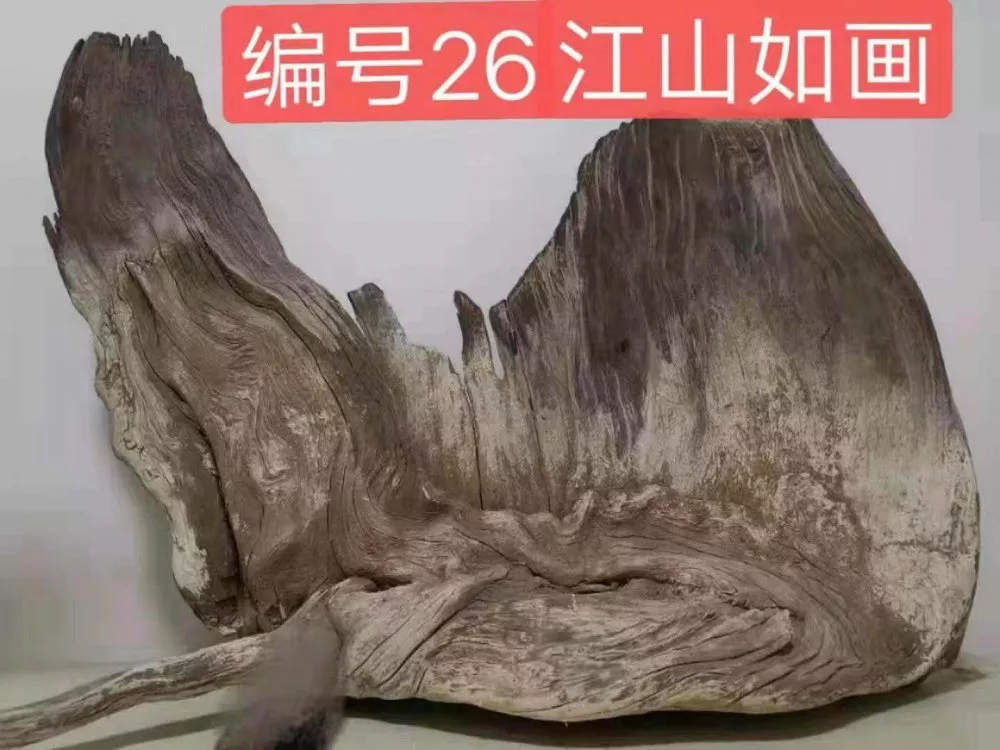 ãååãæ ¹éé¢å¾è¯ï¼åé¦ï¼