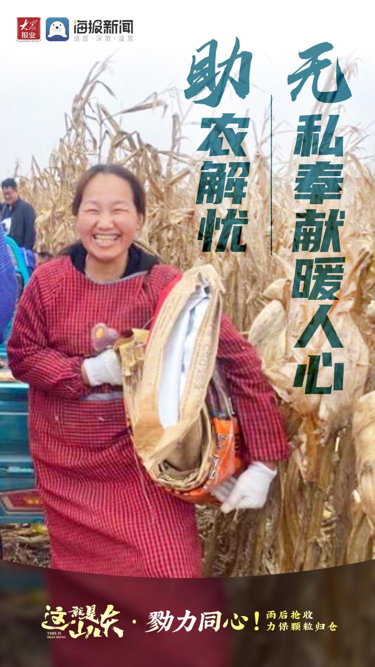 这就是山东丨勠力同心！雨后抢收力保颗粒归仓