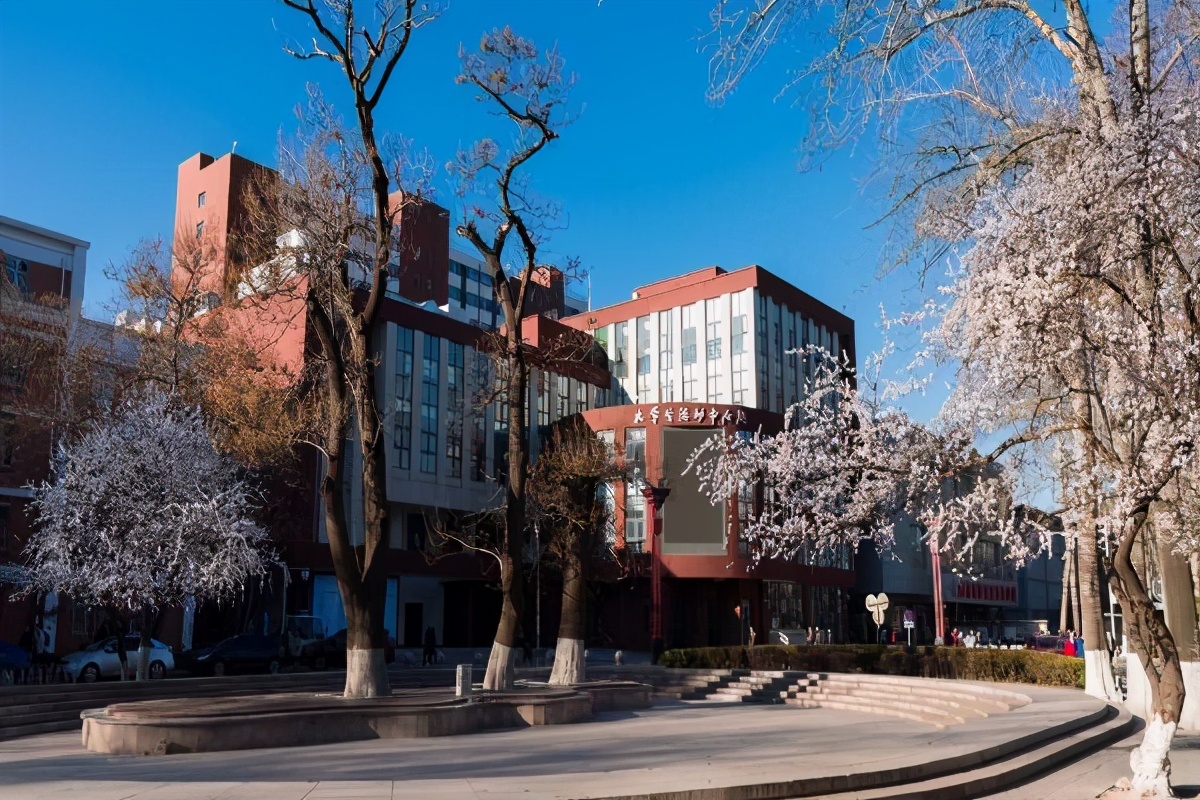 中国十大舞蹈学院 北京舞蹈学院与解放军艺术学院均上榜