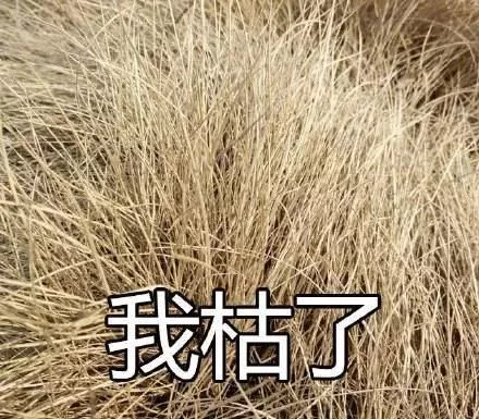 最近好看的人都在染这些发色！在家就能染