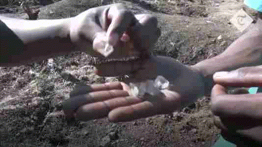 南非数千人掘地三尺挖钻石，中国未来可能当成玻璃卖