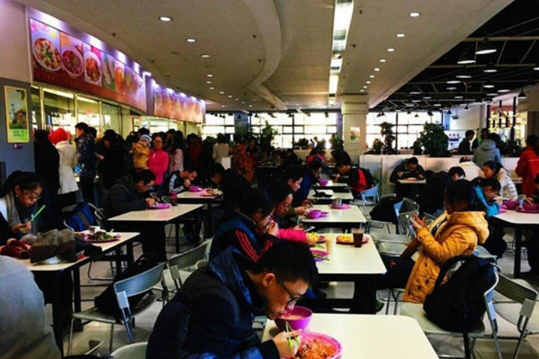 大学食堂火了，设置高难度WiFi密码，不是学霸想蹭网都没门