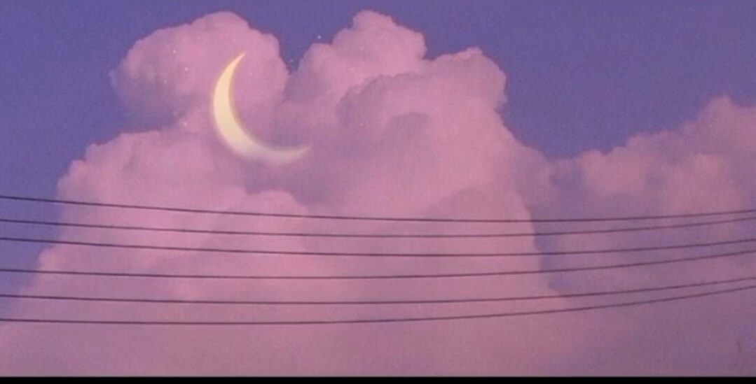 强推！精选15本校园甜宠文合集来袭，甜到飞起，让你欲罢不能！