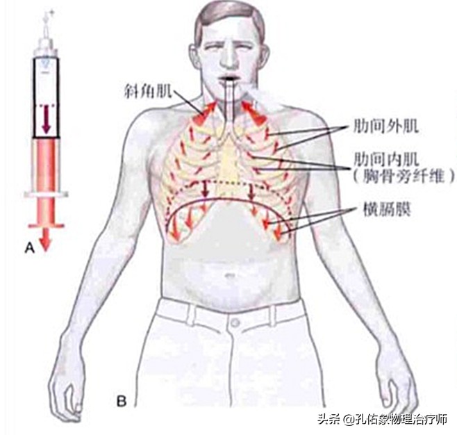 腰椎间盘突出的朋友，为何反复治不好？手术就能解决？告知您内幕