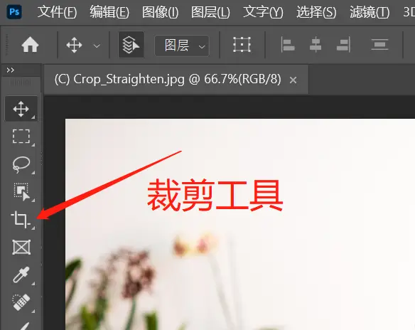 八：一分钟学会PS裁剪和调整图像大小