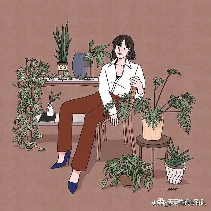 苏醒玫瑰是什么颜色（10款粉色玫瑰品种介绍）
