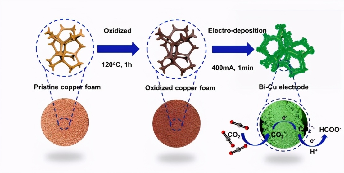 抗癌、碳中和、太赫兹，最近，东华大学9项科研成果引起国际关注！