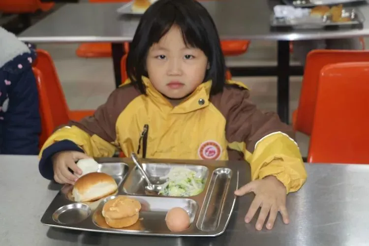 2020衡水一中保定分校（贺阳外国语学校）幼升小，小升初火热报名