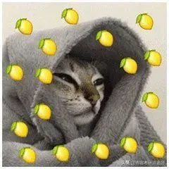 对比了30所高校的研究生宿舍，这10所也太豪华了！酸了酸了