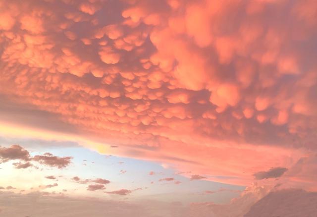 大连海事大学录取分数全解析！报考海事的赶快收藏