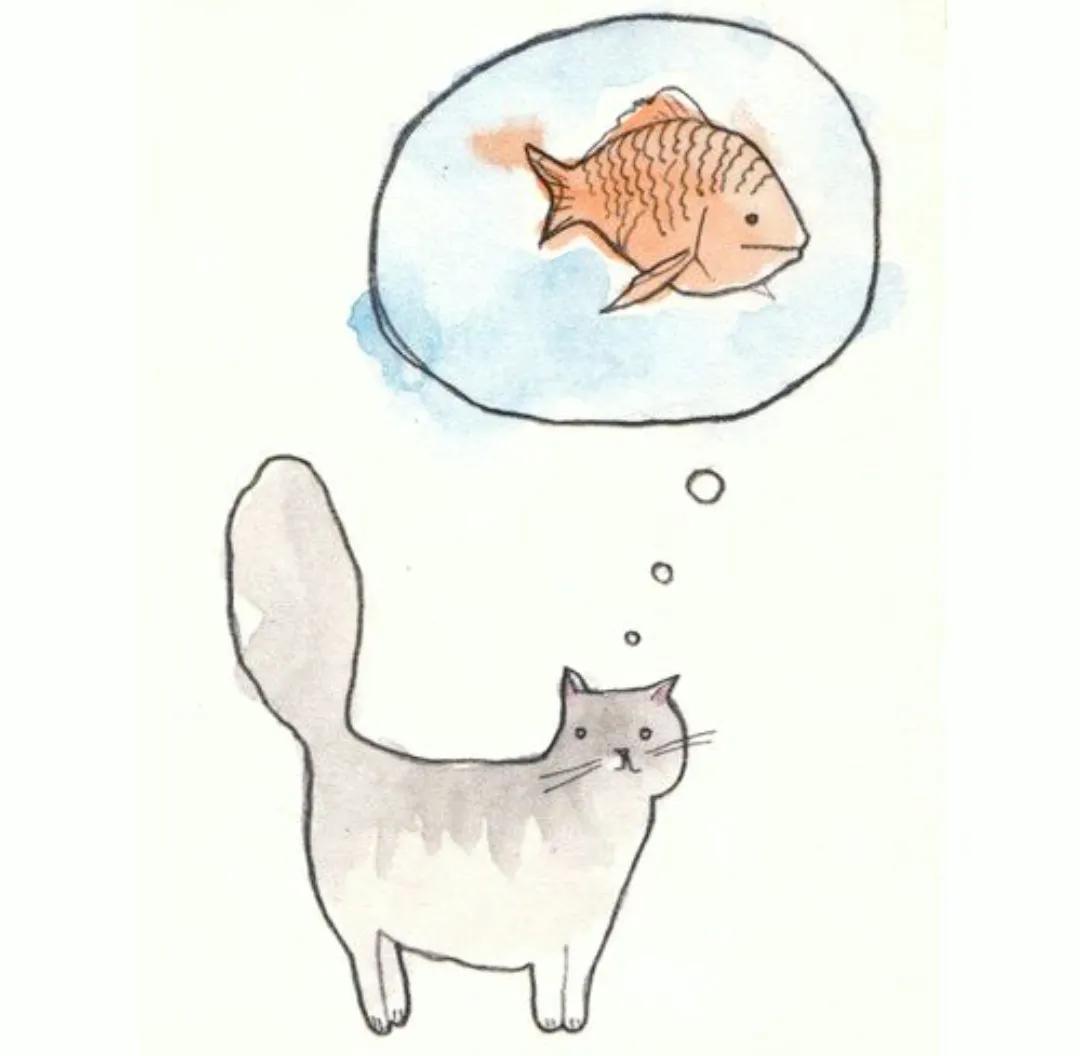 猫和金鱼的故事简短 