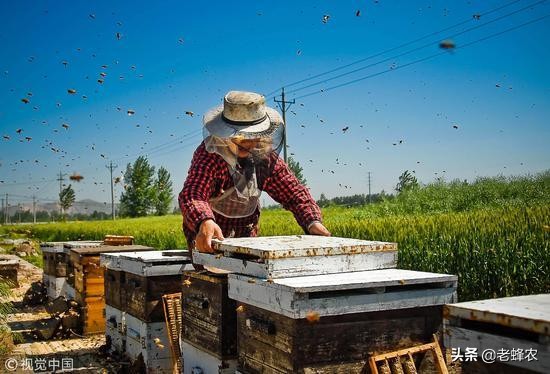 【老蜂农蜂蜜加盟】 老蜂农蜂蜜品牌及产品诚邀加盟