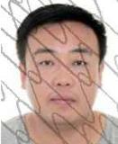 被执行人信息,被执行人信息查询