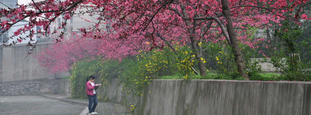 湖北师范大学2020年全日制普通本科招生章程
