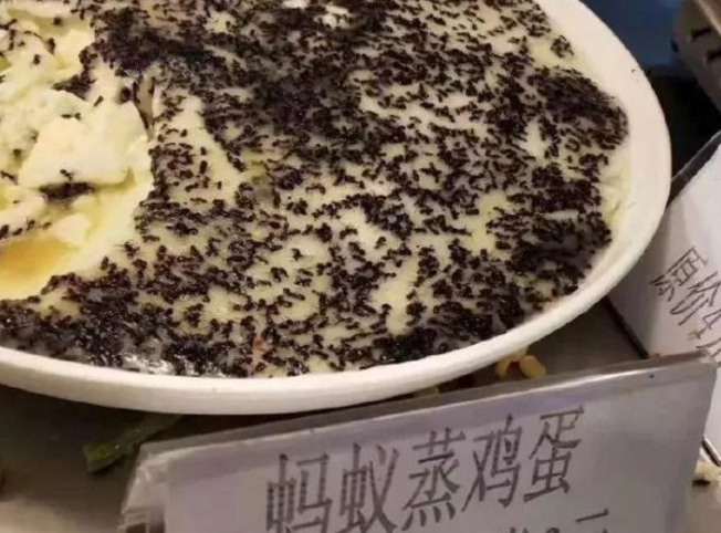 大学食堂火了，设置高难度WiFi密码，不是学霸想蹭网都没门