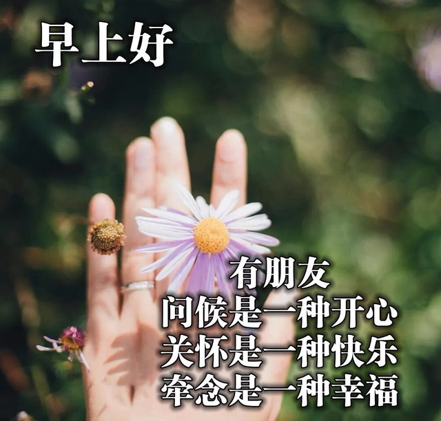 炎热夏季早上好特美表情图片带字，朋友圈很正能量的早安句子