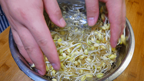 炒黄豆芽的做法,炒黄豆芽的做法窍门