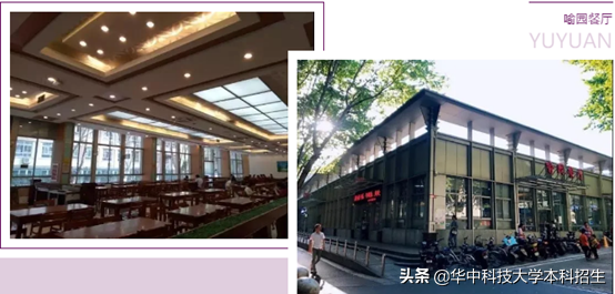 神仙配置！坐拥36个食堂和4个地铁站，湖北“最壕”大学来了！