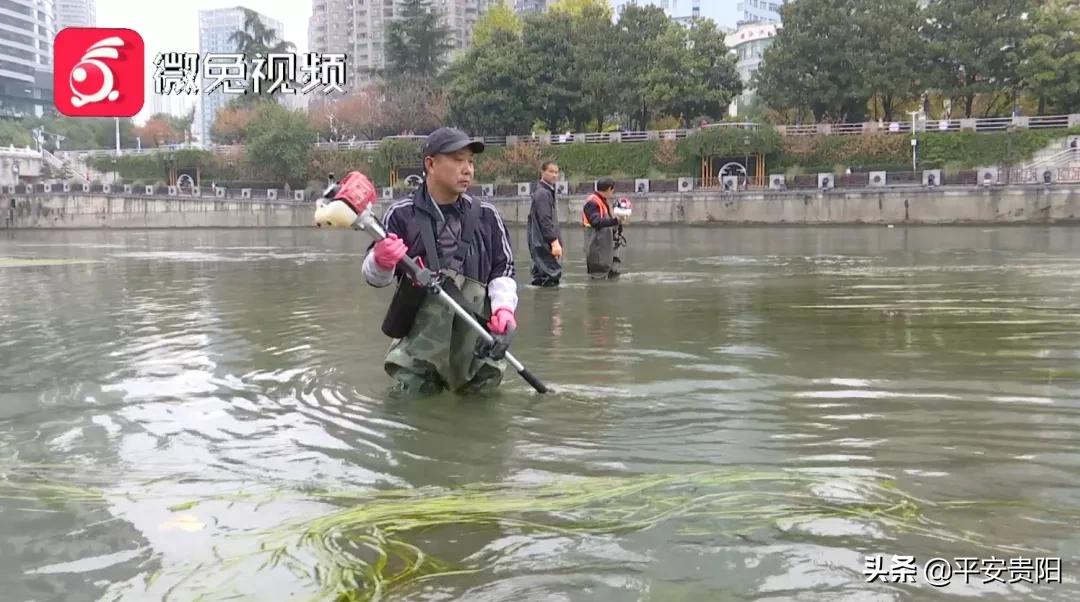 大冷天的，他们却要泡在冰冷的河水里，只为守护“母亲河”的美丽