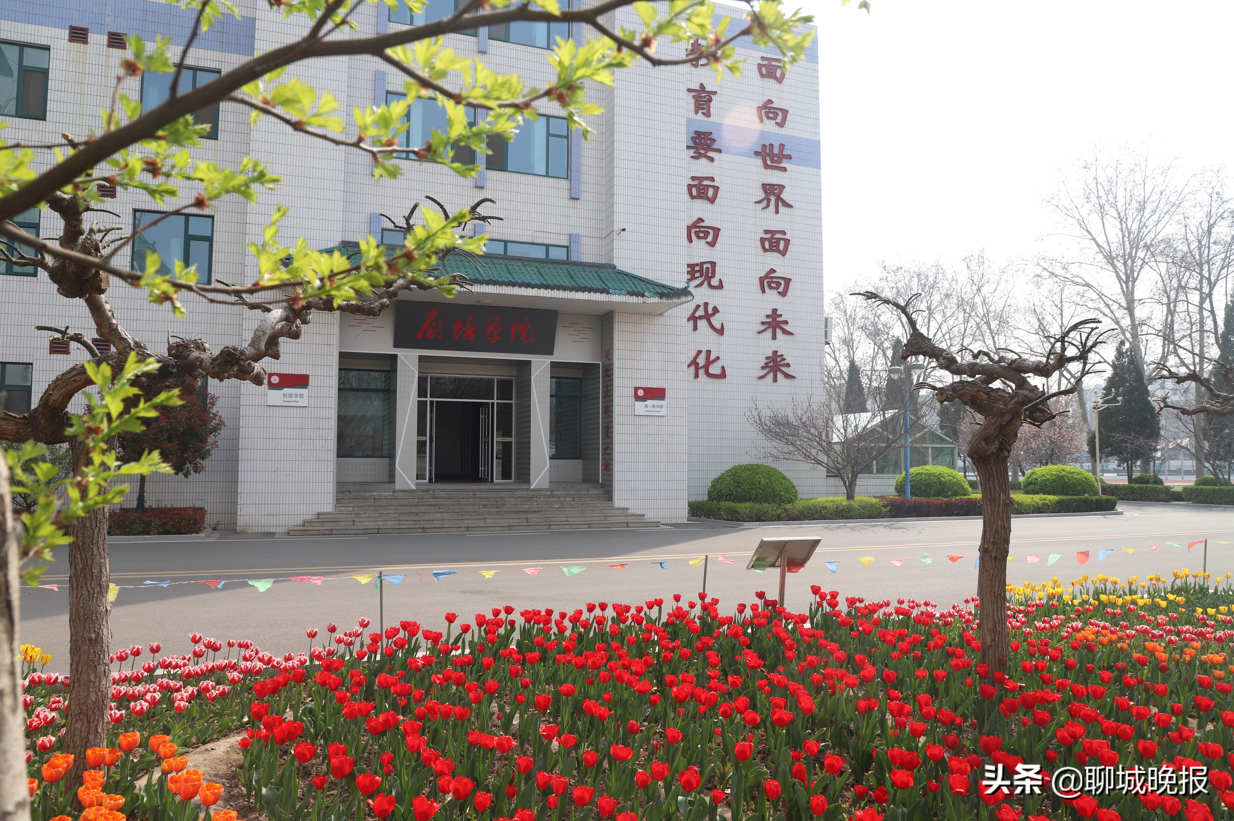 聊城一中招聘骨干教师(聊城一中) - 好工作