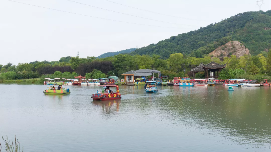 杭州深度游玩指南来了!品茶、游湖、登山...带你解锁多种新玩法