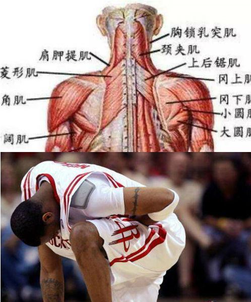 nba为什么容易伤膝盖(5大伤病足以让球员从巅峰跌落！勇士占2人，姚明因第3个导致退役)